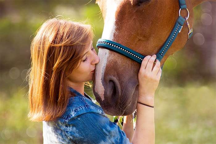 Женщина целует лошадь, фото фотография