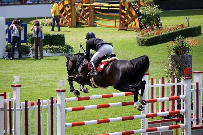 Соревнования по конкуру, вороная лошадь прыгает через барьер, фото фотография