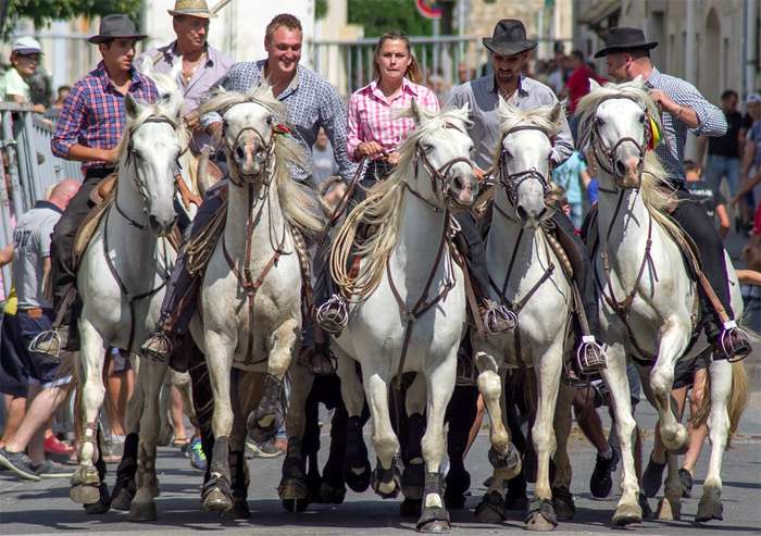 Всадники на лошадях камаргу, фото фотография