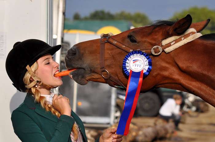 Всадница кормит лошадь морковкой, фото фотография