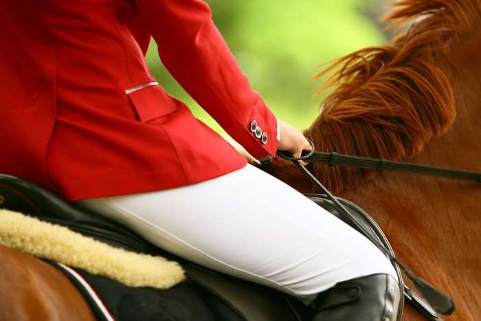 Всадница сидит на рыжей лошади, фото фотография