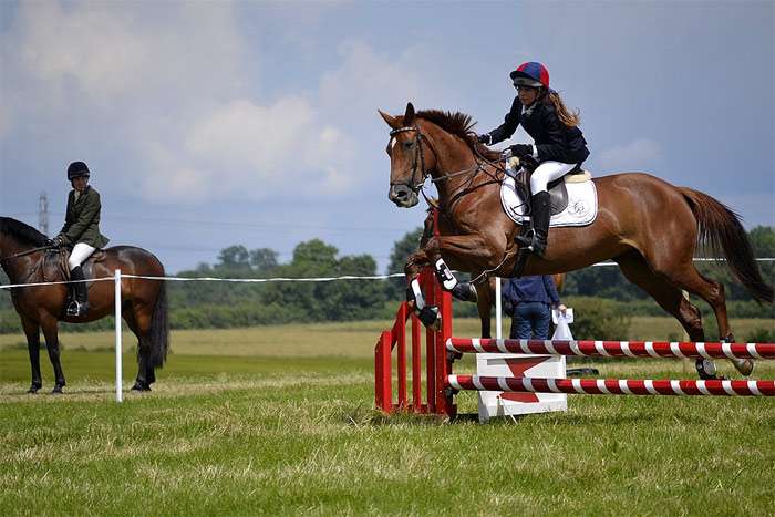 Обучение лошади прыжкам конкур, фото фотография