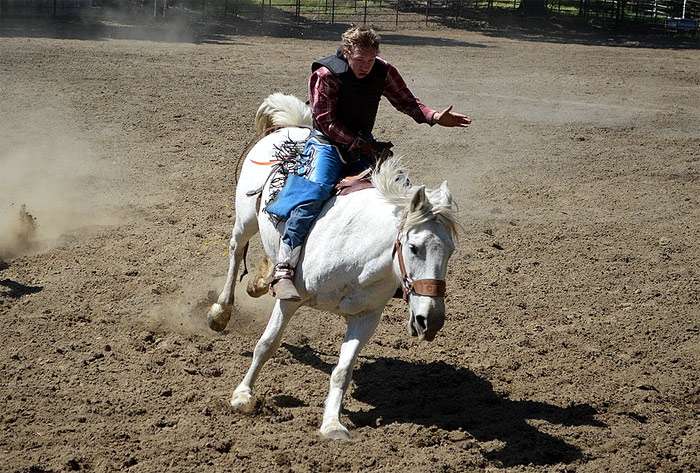 Всадник на белой лошади сидит без седла, фото фотография