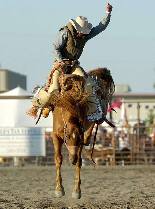Необъезженная лошадь пытается сбросить с себя всадника ковбоя, фото фотография