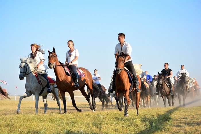 Конный пробег, молодежь скачет на лошадях в степи, фото фотография