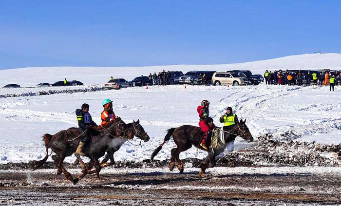 Лошадиные бега зимой, зимние скачки лошадей, фото фотография