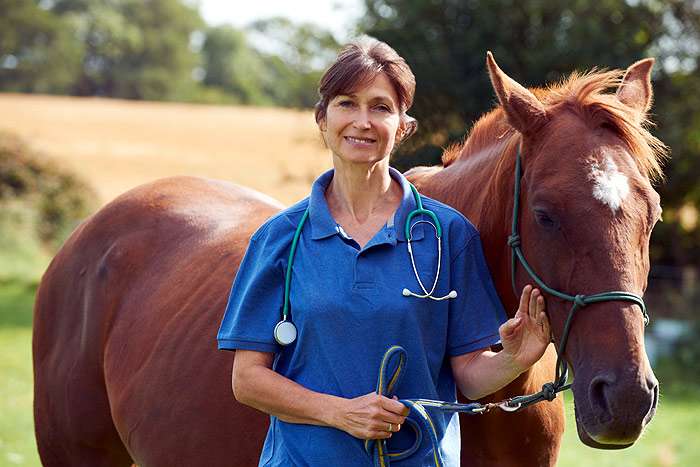 Ветеринарный врач стоит около лошади, фото болезни фотография