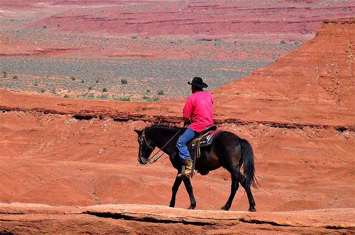 Лошадь под всадником едет по красной пустыне, фото лошади фотография