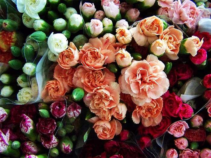 Букет красивых цветов, фото фотография растения