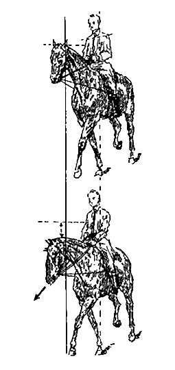 Тренировка лошади с использованием вспомогательных скользящих поводьев