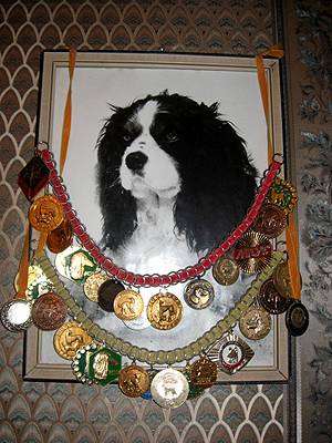 Первый кавалер-кинг-чарльз спаниель в России - Хэрби Фон Дуглас (1985-1999), фото породы собак фотография)