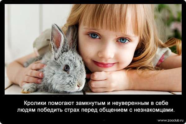 Кролики помогают замкнутым и неуверенным в себе людям победить страх перед общением с незнакомцами.
