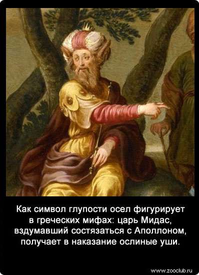 Как символ глупости осел фигурирует в греческих мифах: царь Мидас, вздумавший состязаться с Аполлоном, получает в наказание ослиные уши.