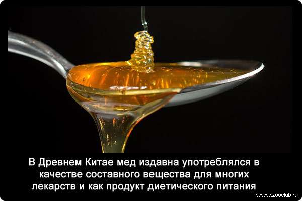 В Древнем Китае мед издавна употреблялся в качестве составного вещества для многих лекарств и как продукт диетического питания.