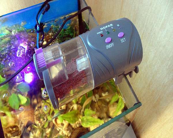 Автоматическая кормушка для рыбок, фото фотография