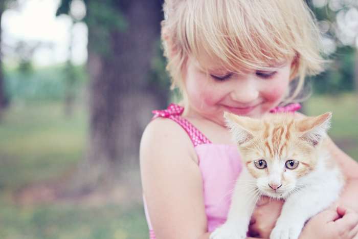 Девочка держит в руках рыжего котенка, фото фотография