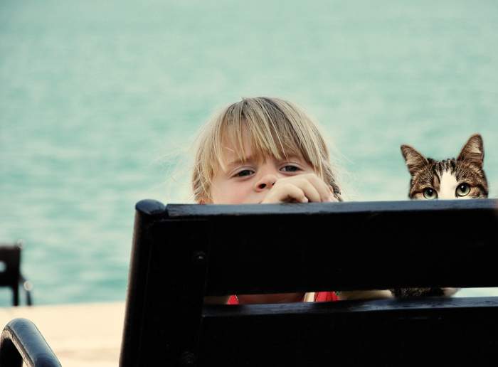 Девочка и кошка играют в прятки, фото фотография