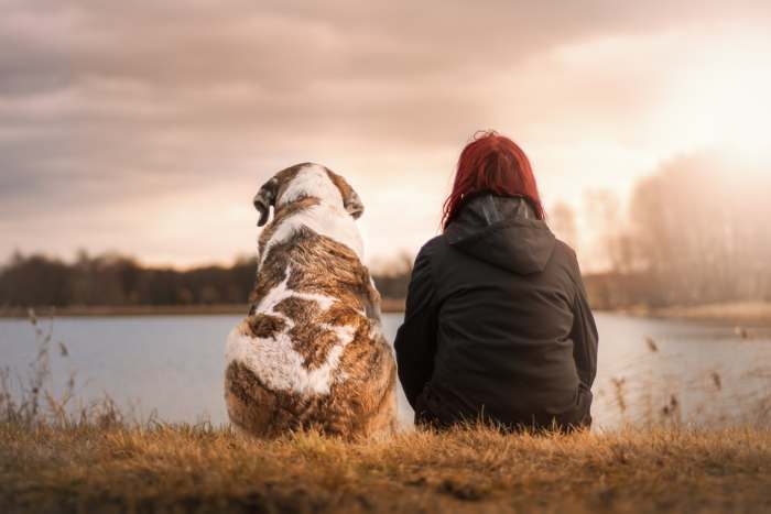 Женщина и собака сидят, смотря на озеро, фото фотография