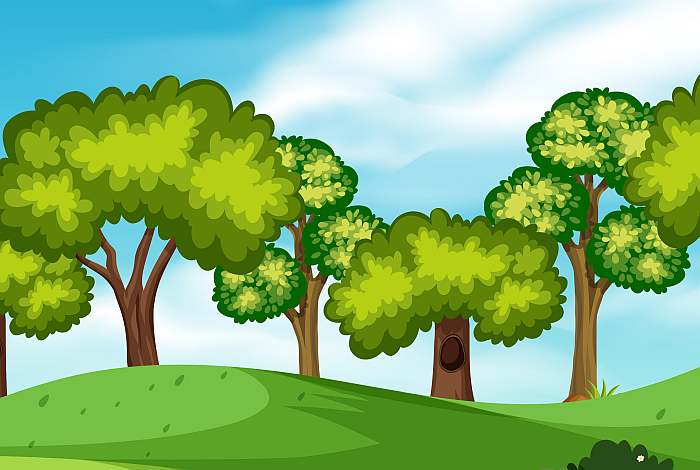 Деревья, рисунок картинка иллюстрация