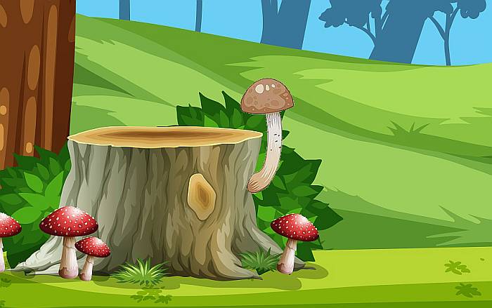 Опенок и другие грибы, рисунок картинка иллюстрация