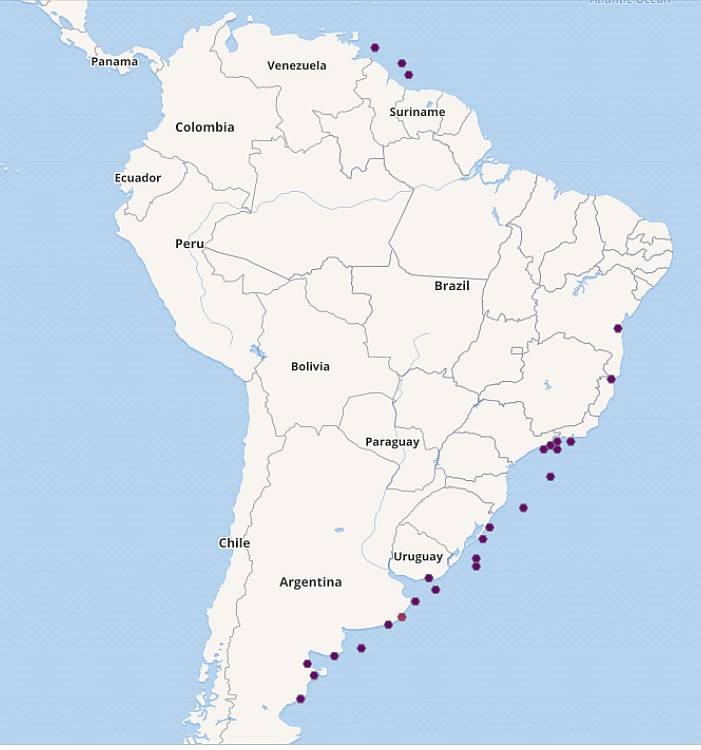 Аргентинская барабуля (Mullus argentinae), карта ареал обитания