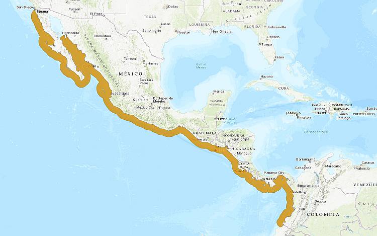 Гватемальская мерлуза (Merluccius angustimanus), ареал карта схема распространения