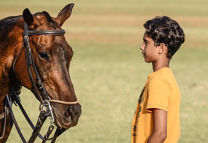 Лошадь и мальчик, фото фотография