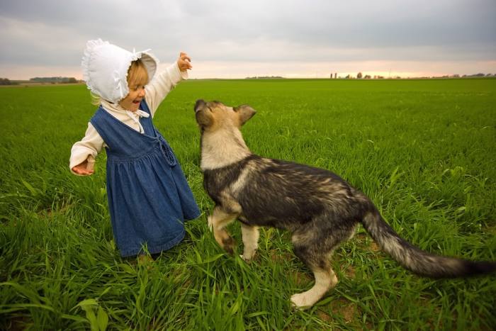 Девочка и собака, фото фотография домашняя 
