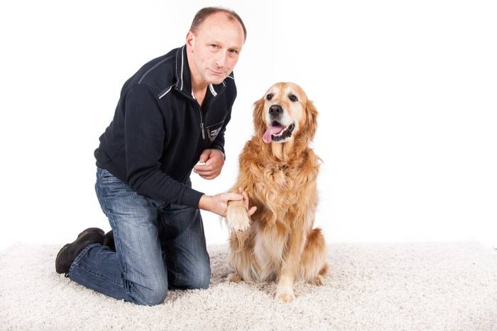 Золотистый ретривер, голден-ретривер с мужчиной, фото фотография собаки