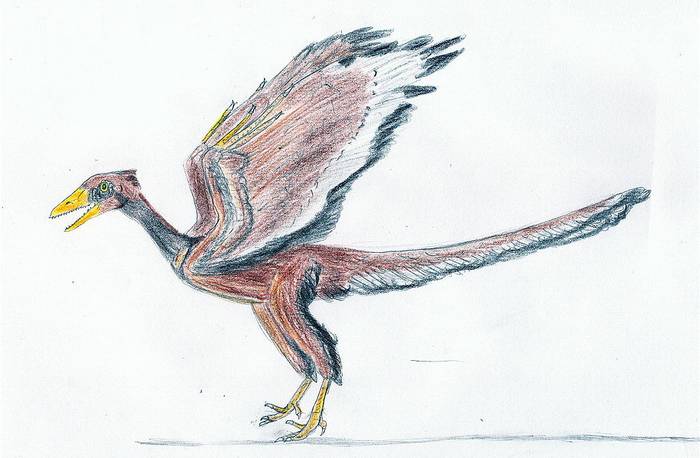 Археоптерикс (лат. Archaeopteryx), рисунок картинка реконструкция