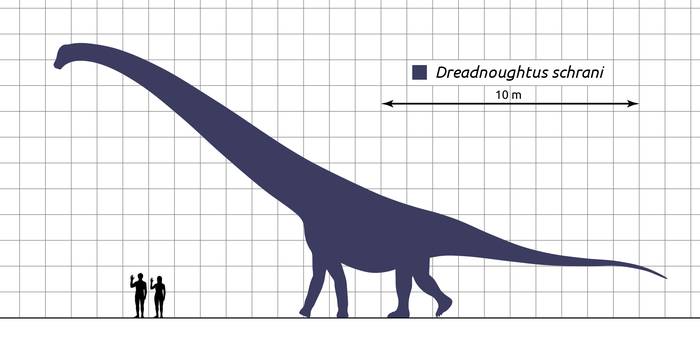 Дредноутус (Dreadnoughtus schrani), реконструкция рисунок картинка, ископаемые животные