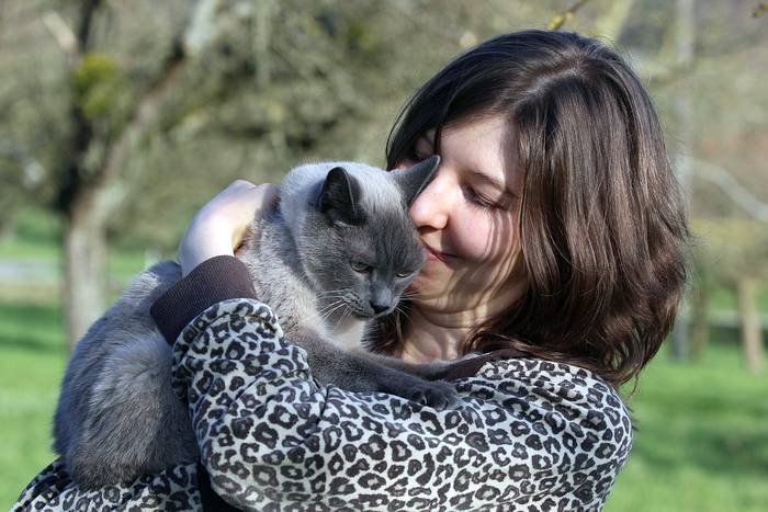 Кошка на руках женщины, фото фотография питомцы