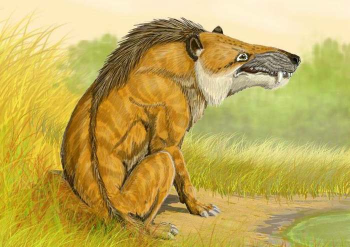 Эндрюсарх (Andrewsarchus mongoliensis), фото фотография вымершие животные