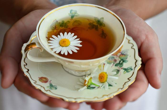 Чай с ромашкой, фото фотография лекарственные растения