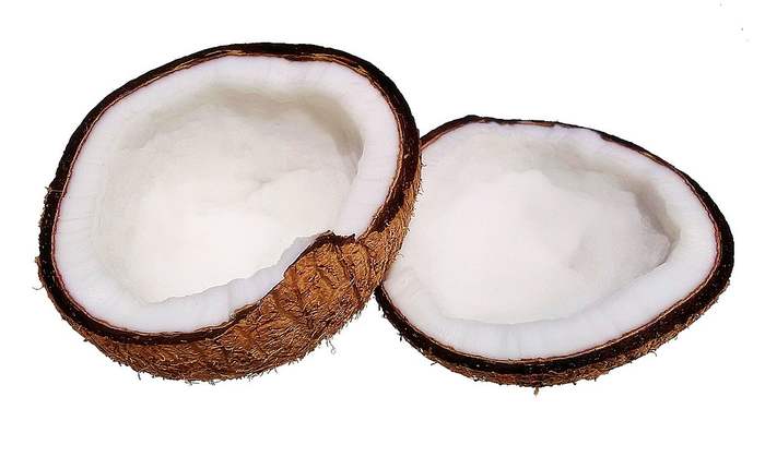 Кокосовая пальма (Cocos nucifera) , фото фотография растения