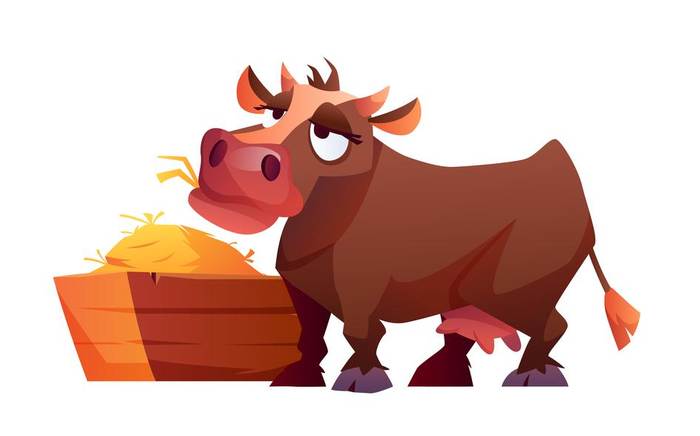 Задумчивая корова жует сено, рисунок картинка иллюстрация