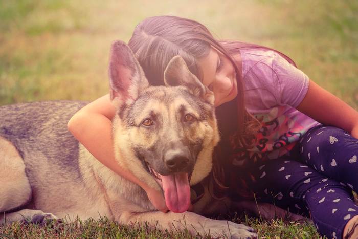 Восточно-европейская овчарка и девочка, фото фотография собаки