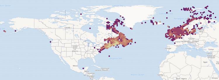 Атлантическая треска (Gadus morhua), ареал карта распространение