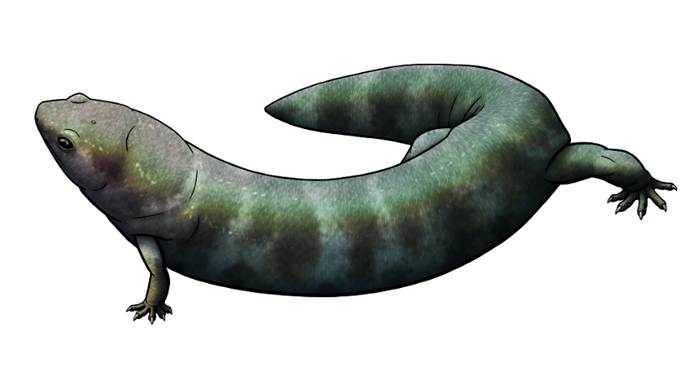 Микрозавр Joermungandr bolti, рисунок картинка реконструкция