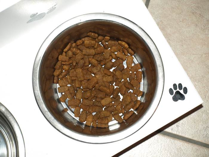 Железная миска с собачьим кормом, фото фотография