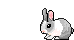 кролик, анимашка