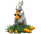 заяц ест морковку, анимашка, анимация