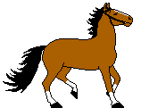 лошадь, анимашка