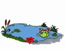 лягушка в пруду, анимашка
