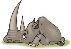носорог, клипарт