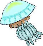 медуза, клипарт