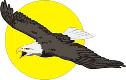 белоголовый орлан, клипарт