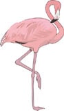розовый фламинго, клипарт