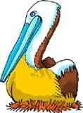 коричневый пеликан сидит в гнезде