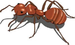 красный муравей, клипарт